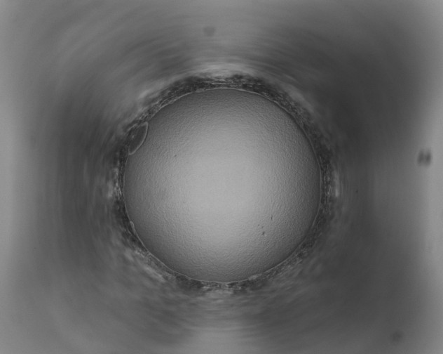 X0000111820965200908131519