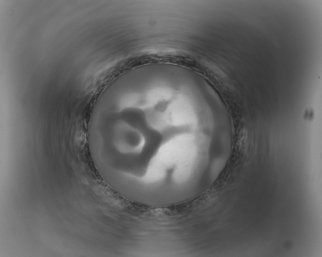 X0000111820966200908131519