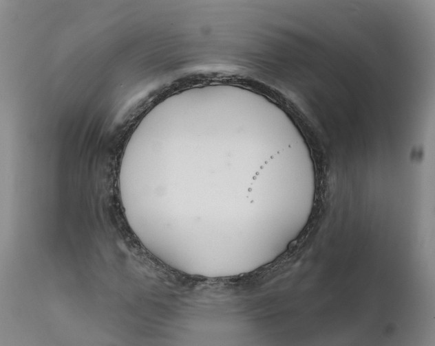 X0000111820967200908131519