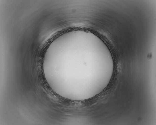 X0000111820968200908131519