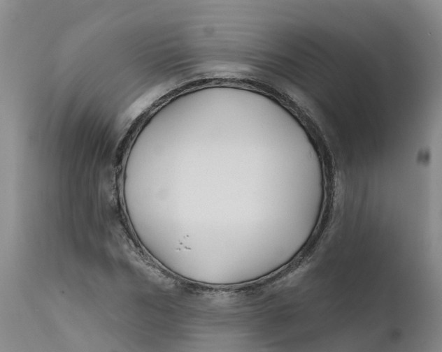 X0000111820970200908131519