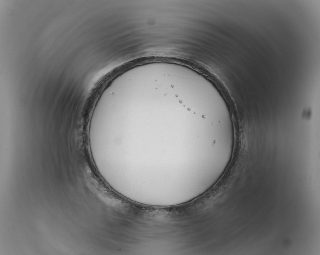 X0000111820971200908131519