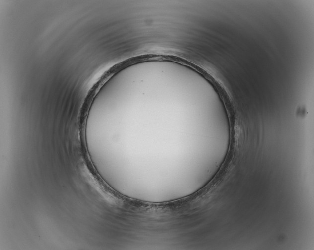 X0000111820972200908131519