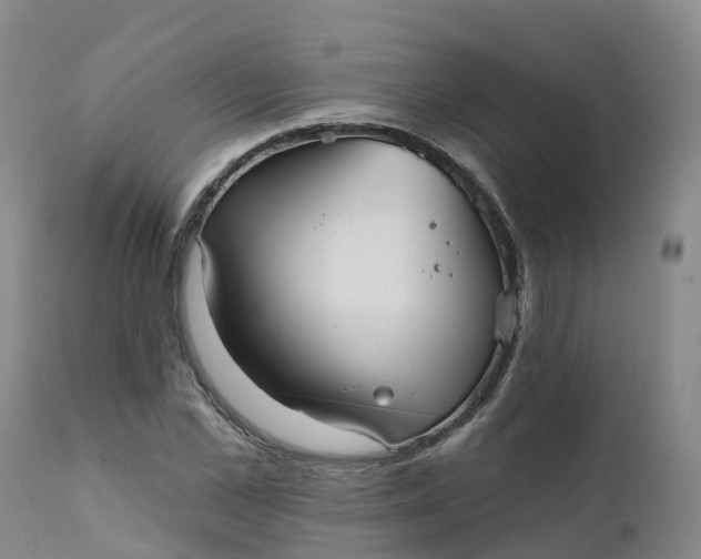 X0000111820973200908131519