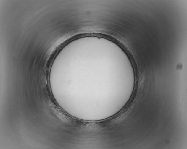 X0000111820974200908131519