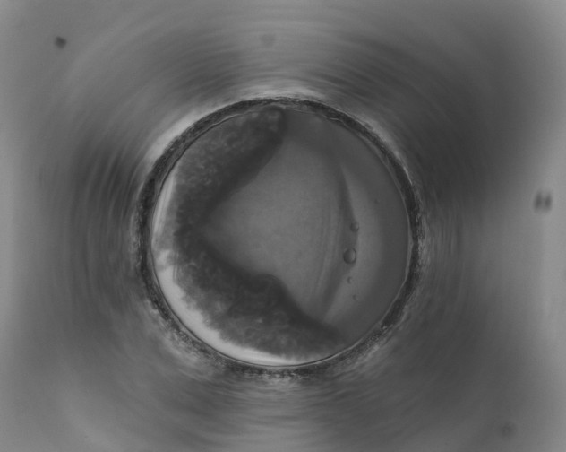 X0000111820975200908131519