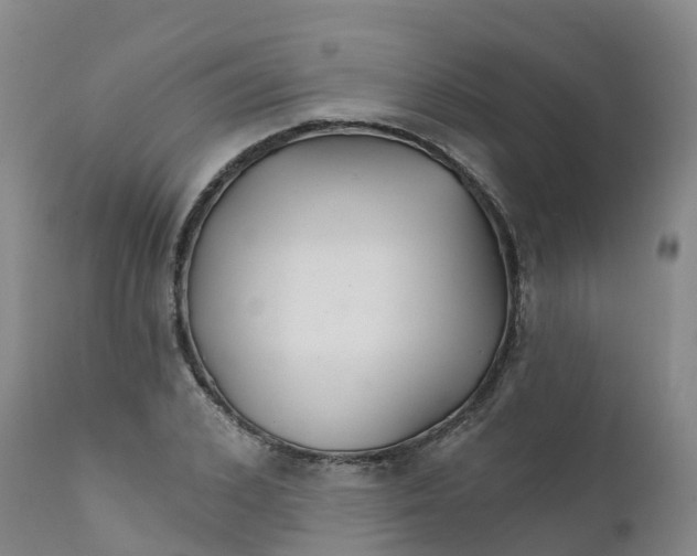 X0000111820976200908131519