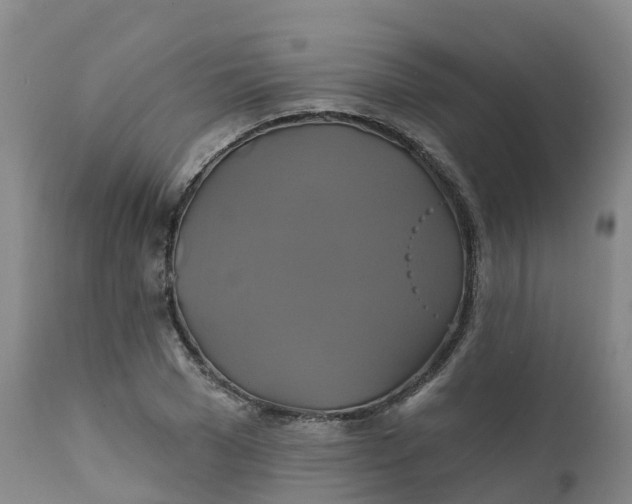 X0000111820977200908131519