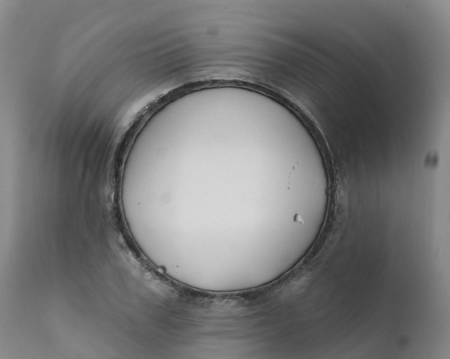 X0000111820979200908131519