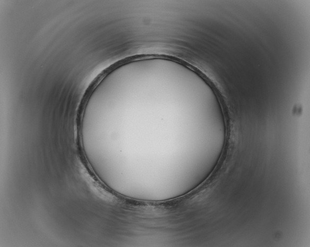 X0000111820980200908131519