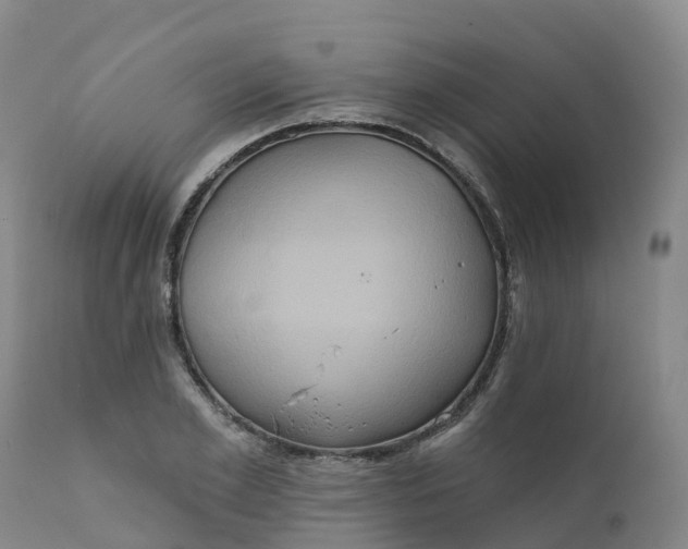 X0000111820981200908131519