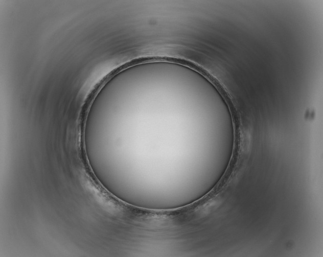 X0000111820982200908131519