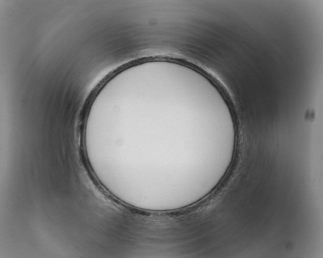 X0000111820983200908131519