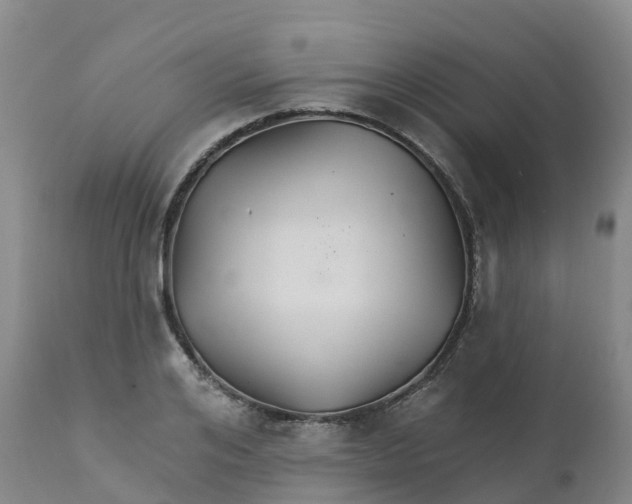 X0000111820984200908131519