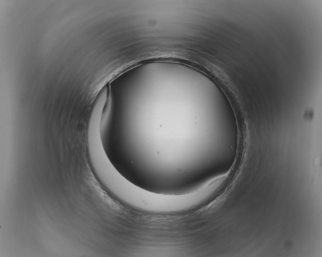 X0000111820985200908131519