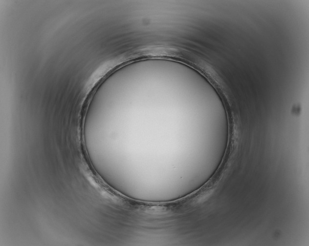 X0000111820986200908131519