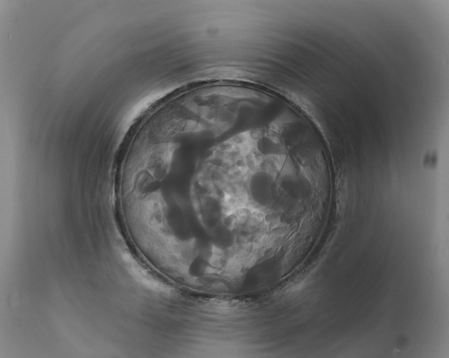 X0000111820987200908131519