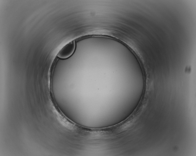 X0000111820988200908131519