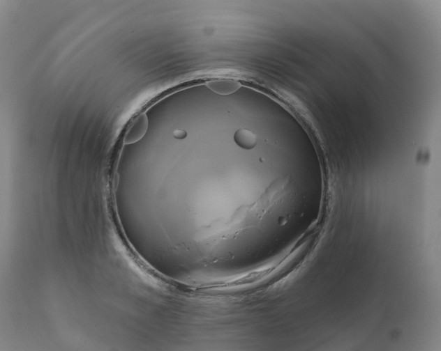 X0000111820989200908131519