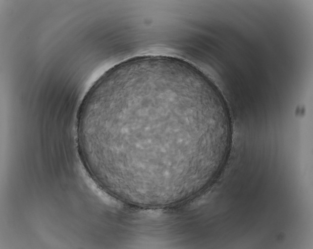 X0000111820990200908131519