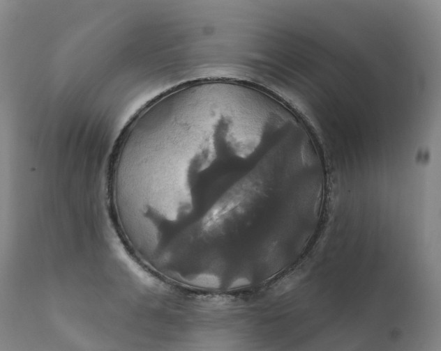 X0000111820991200908131519