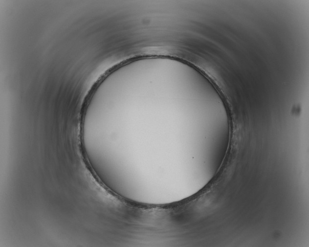 X0000111820992200908131519