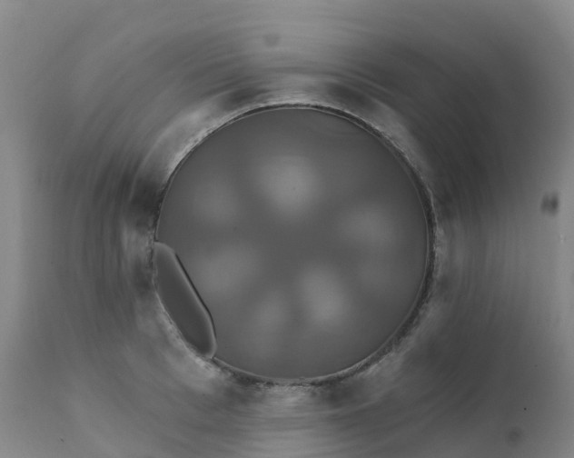 X0000111820993200908131519