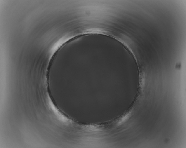 X0000111820995200908131519