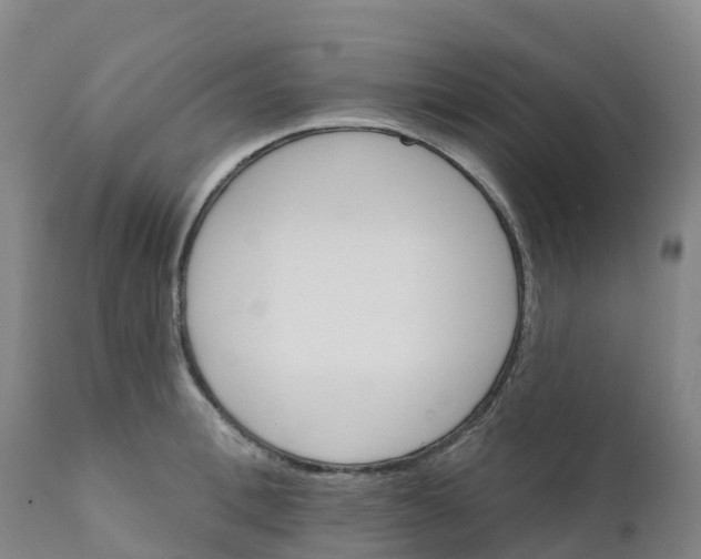 X0000111820996200908131519