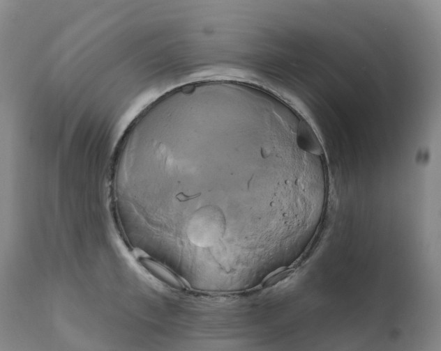 X0000111820997200908131519