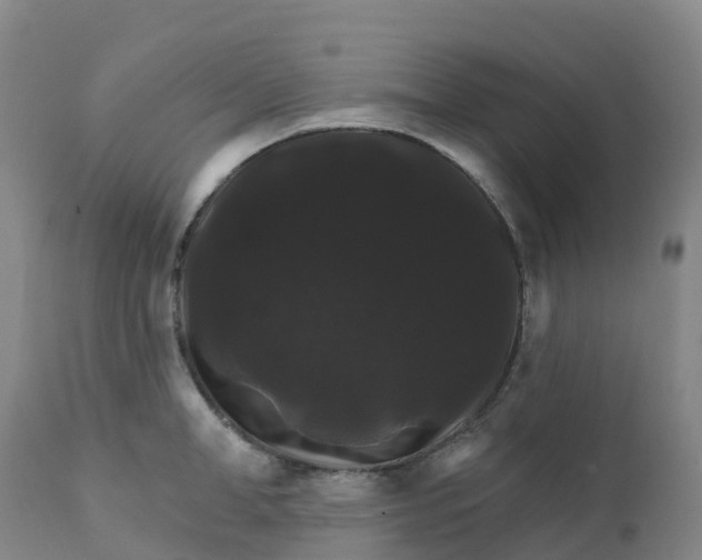 X0000111820998200908131519