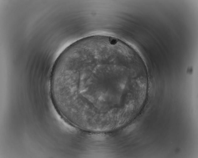 X0000111820999200908131519