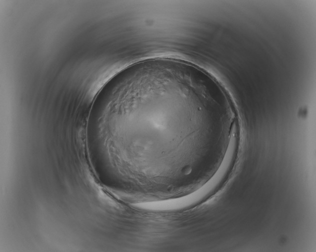 X0000111821001200908131519