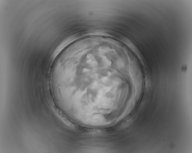 X0000111821002200908131518