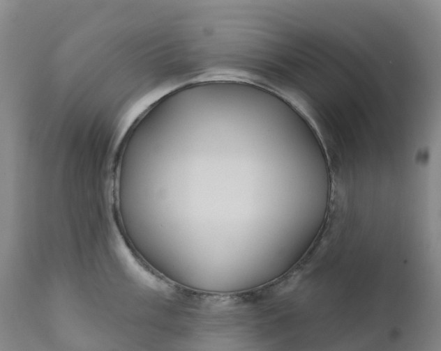 X0000111821003200908131518