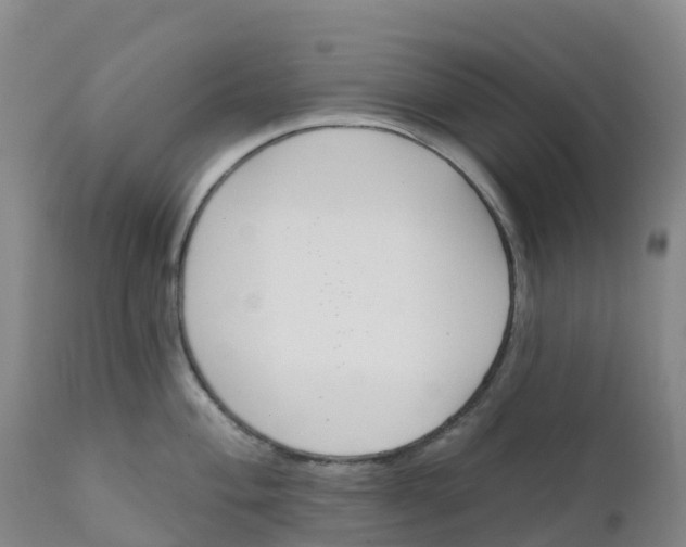 X0000111821004200908131518