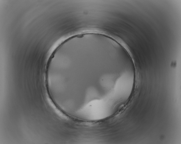 X0000111821005200908131518