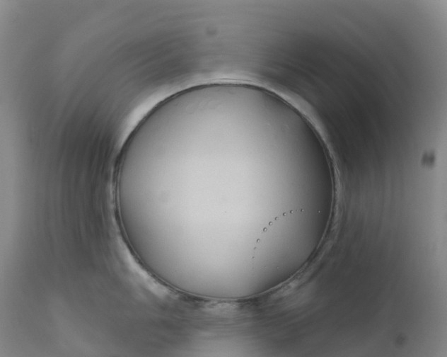 X0000111821006200908131518