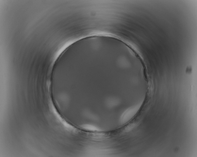 X0000111821007200908131518