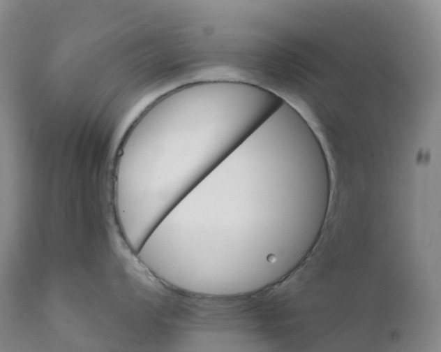 X0000111821008200908131518