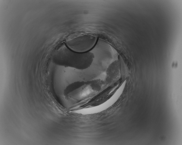 X0000111821009200908131518