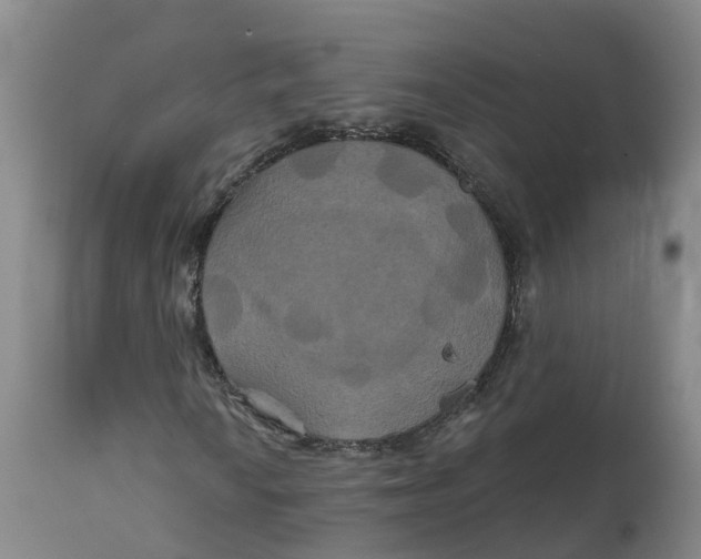 X0000111821010200908131518