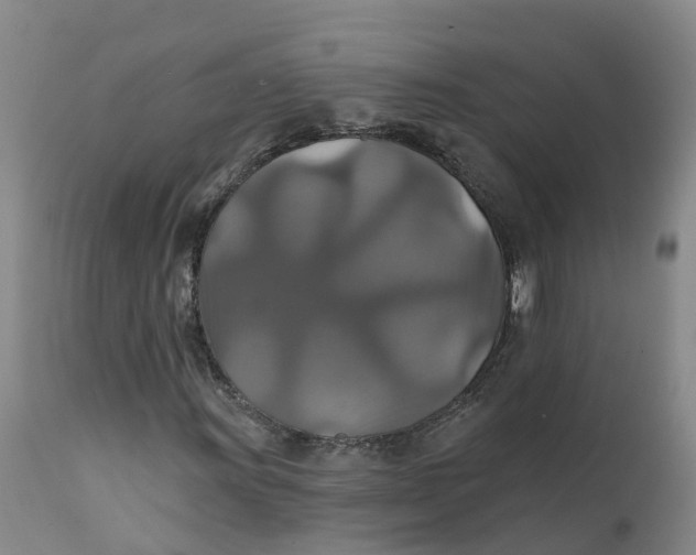 X0000111821011200908131518