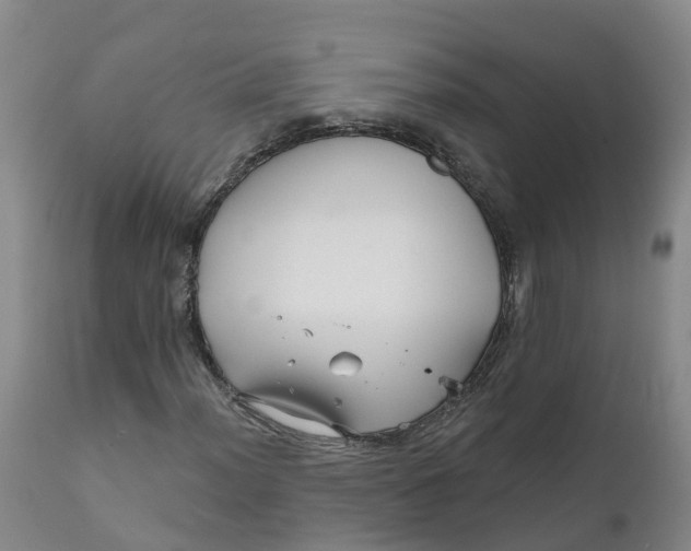 X0000111821012200908131518