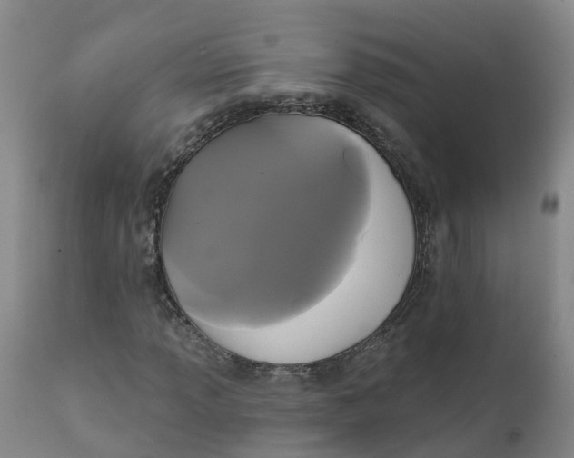 X0000111821013200908131518