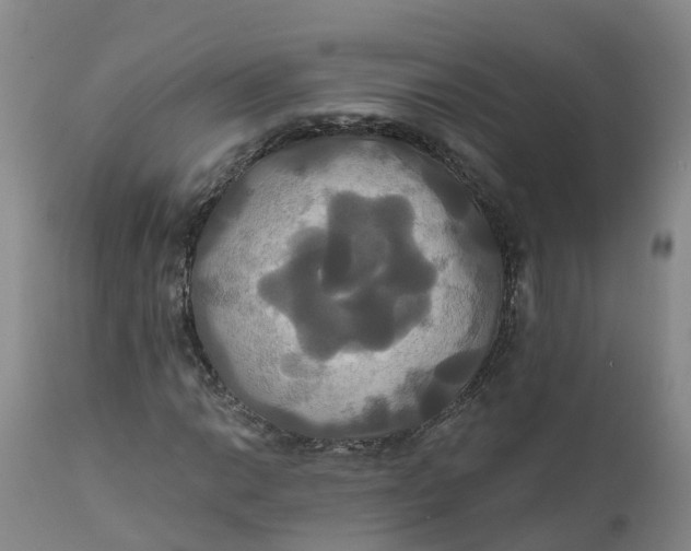 X0000111821014200908131518