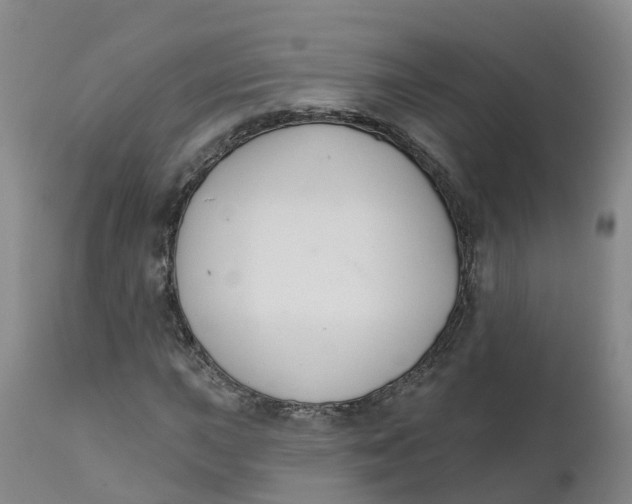 X0000111821015200908131518