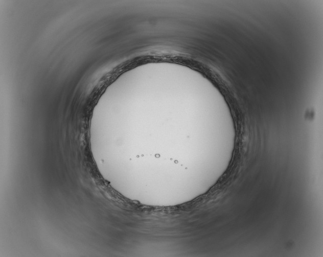 X0000111821016200908131518