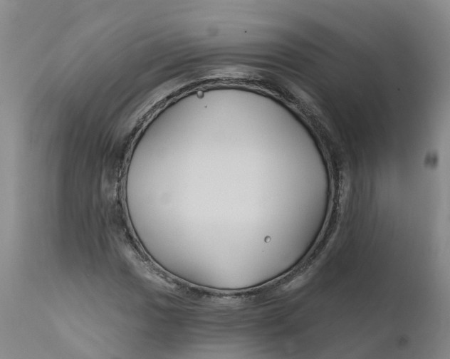 X0000111821017200908131518