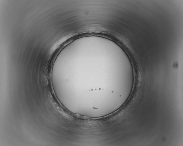 X0000111821018200908131518